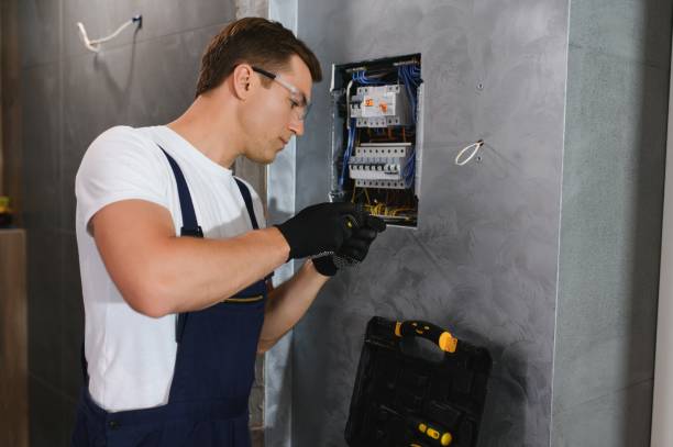Best Electric Panel Repair  in Weyauwega, WI